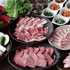 YMO-RYDEEN (electro 2017 remix )