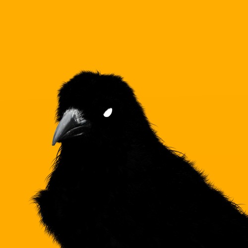 Griffin
