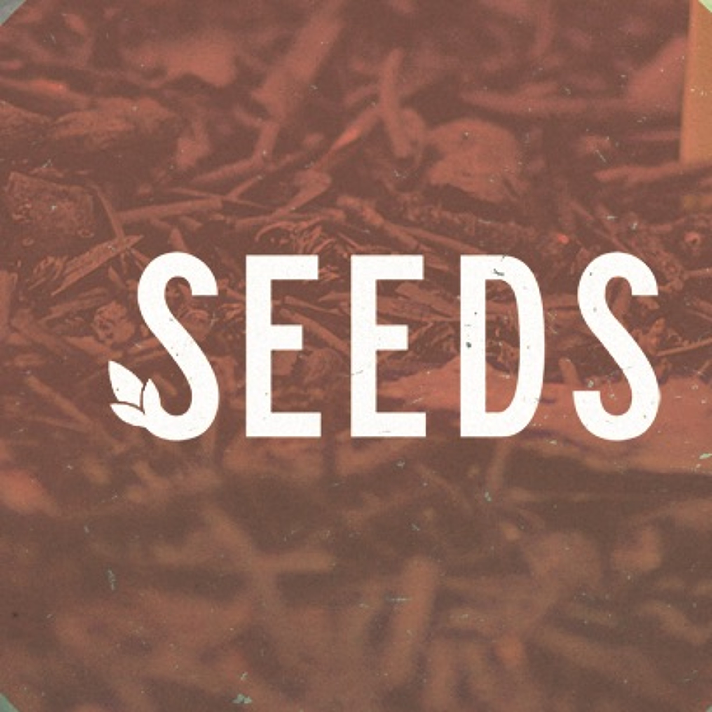 Seeds: week 4 episode artwork