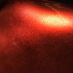 Memory From the Future