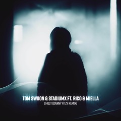 Tom Swoon & Stadiumx Ft. Rico & Miella - Ghost (Danny Fitzy Remix)