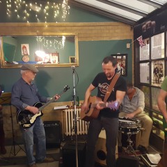 Bottleneck and Lights - Flowers On The Wall (live)