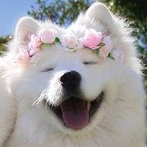 its spring!