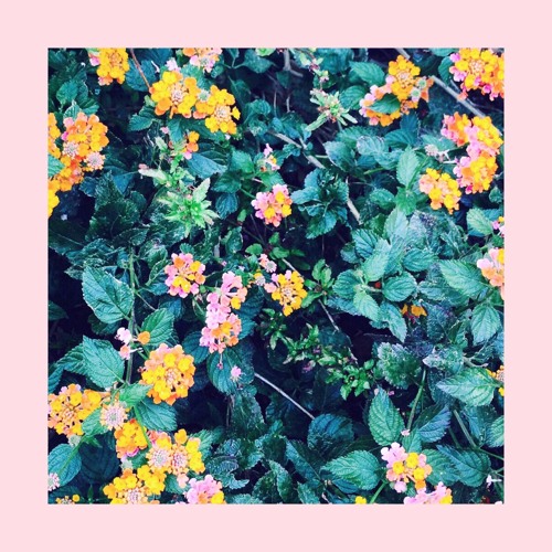 Fuvk - Anywhere  (opal.wav rework)