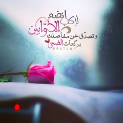 سورة يس بصوت ناصر القطامي