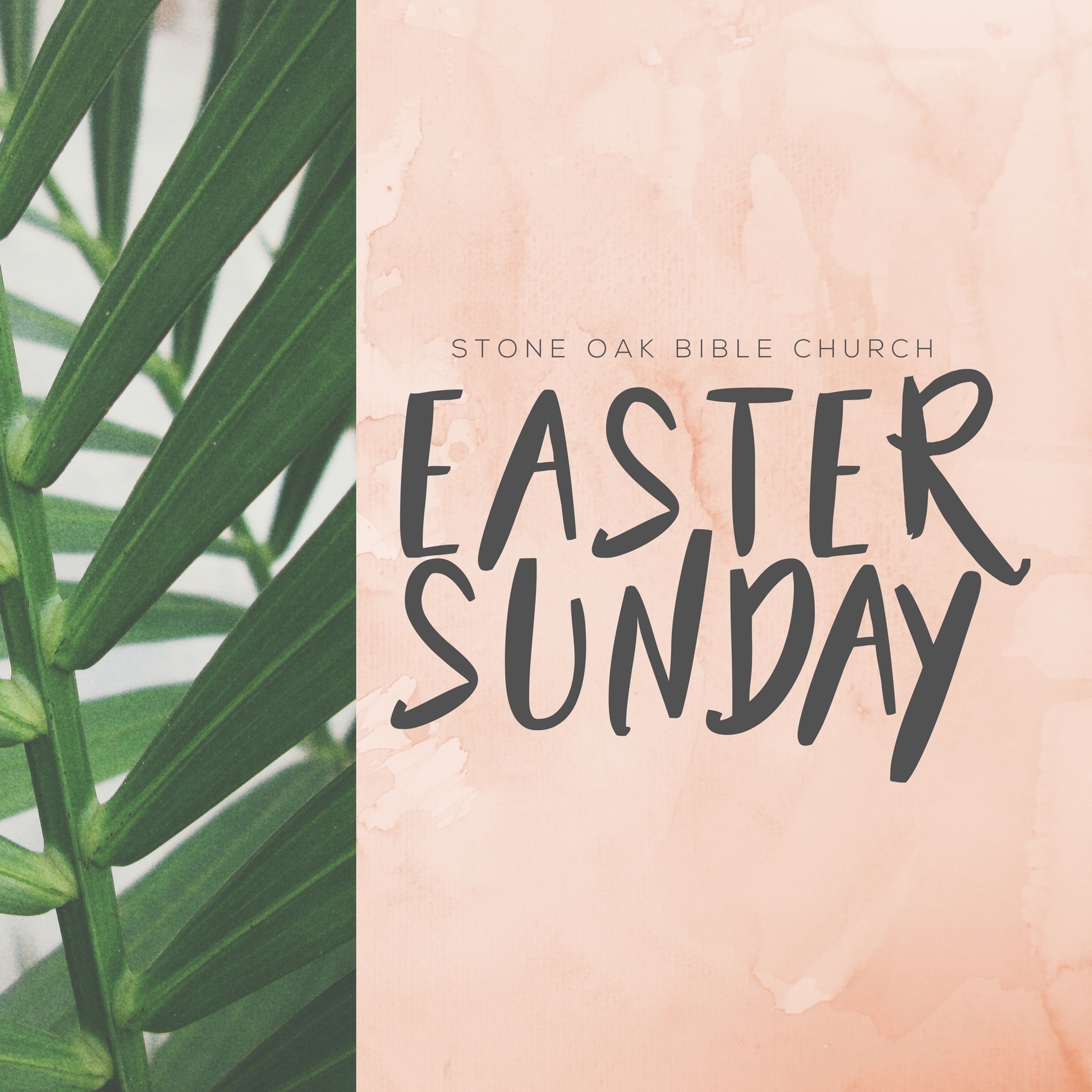 Hosea And The Resurrection Of Christ - Hosea 1-3 episode artwork