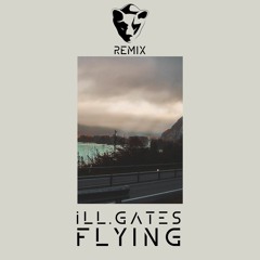 ill.Gates - Flying Ft. Stephan Jacobs & Jackie Rain (Biörnito Remix)