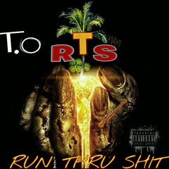 T.O TONE (HOOD BEYONCE)