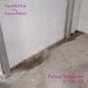 Future Babies Intro Mp3