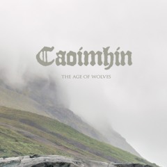 Caoimhín - "Níðhöggr"