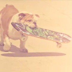 kiz