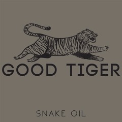 Good Tiger - Snake Oil ( Mixing Cover )