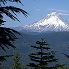 VICE CITY REMIXXX UNMASTERED