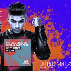 Vintage Culture, Selva, Lazy Bear Vs Sevenn - Why Don't U Love (DJ Fred Matias Mash Up Mix)