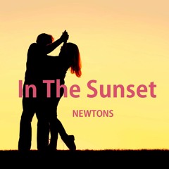 In The Sunset - NEWTONS