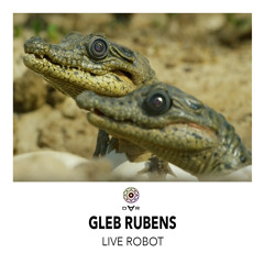 Gleb Rubens - Live Robot (Original Mix)