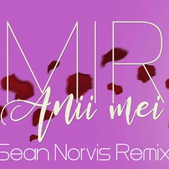 Mira - Anii Mei | Sean Norvis Remix