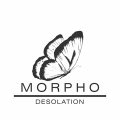 Morpho - "Desolation"