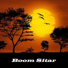 MadBass - Boom Sitar