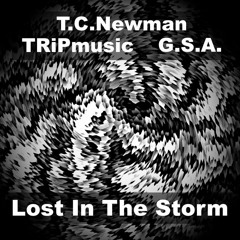 Grand Space Adventure, TRiPmusic & T. C. Newman: Lost In The Storm