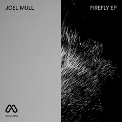 Joel Mull - Firefly