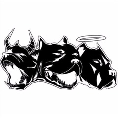 Craig Xen