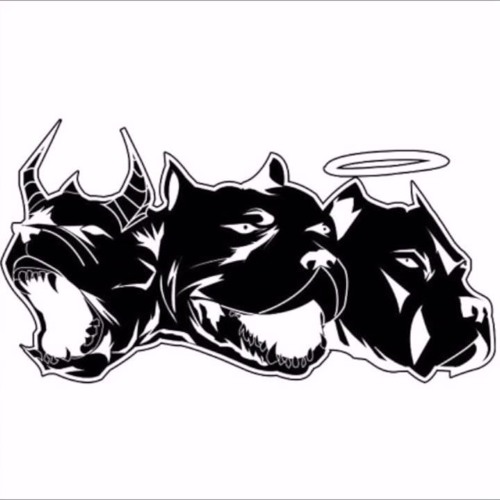 Craig Xen