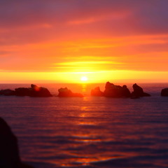 Tia Rosa - no vox [demo]