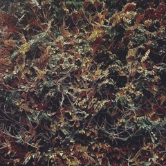 Jazzy Joints & Bossa Beats