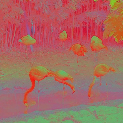 U9