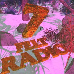 @FeltZine Radio Ep. 7: DevHD
