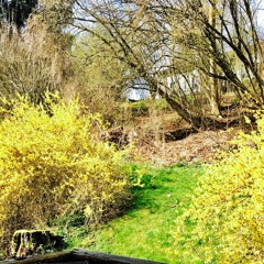 Frühlingsrolle @Hüppe Hauptquartier