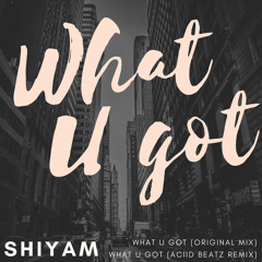 What U Got (Aciid Beatz Remix)
