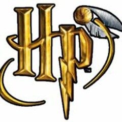 Harry Potter  remix