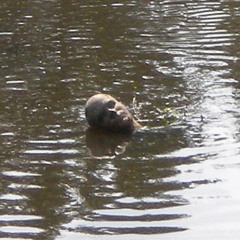 corpse (prod. ice man x swamp)