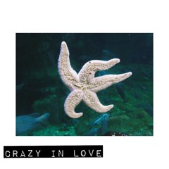 Crazy In Love Cover - Beyonce (Cover)