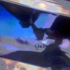 Bank Holiday Monday Basslinee