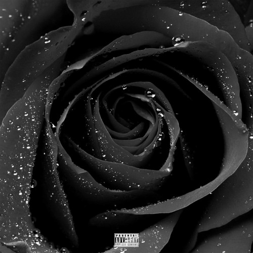 Marley Brooker - Black Roses (feat. Courtney B) [prod. by The Mailman & Fresh Kid Blaze]