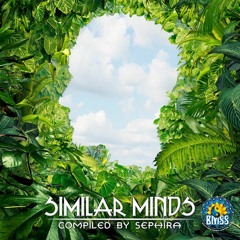 VA / Similar Minds (Compiled by Sephira)