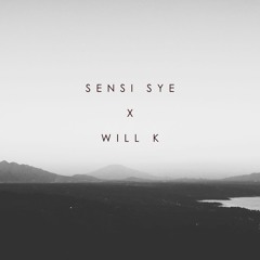 Sensie Sye - Don't Be Shy (feat. Will K)