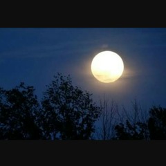 Spenay Spogmai - Live