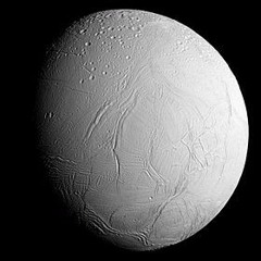 Water Bunnies Of Enceladus