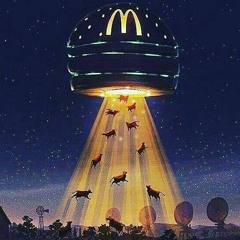 MacDonalds UFO(Vts Studio)