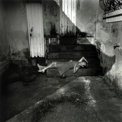 Don Julius - C'est La Vie