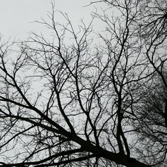 ♡Dark-$hadow♡