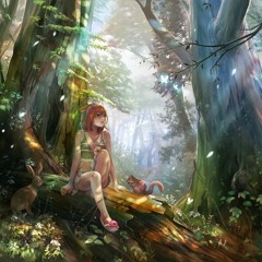 Rainforest