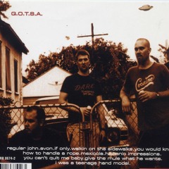 Queens of the Stone Age - Regular John