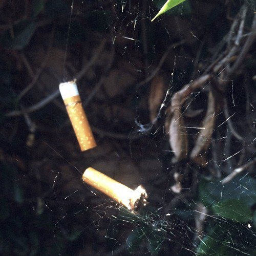 CRAIG XEN - Pearl Silk Webs (Feat. OmenXIII)