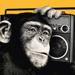 After monkey Party.. solo para oidos inteligentes