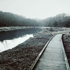 warped bridge, wet tape